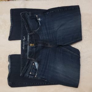 AMERICAN EAGLE Stretch Artist Dark Wash Blue Jeans sz 18